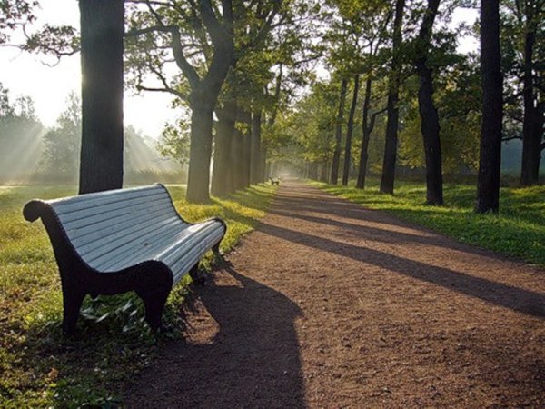 Терлецкий парк лавочки