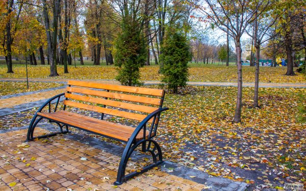 Лавочки парк в Зеленогорске СПБ