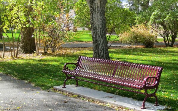 Лавочка в саду