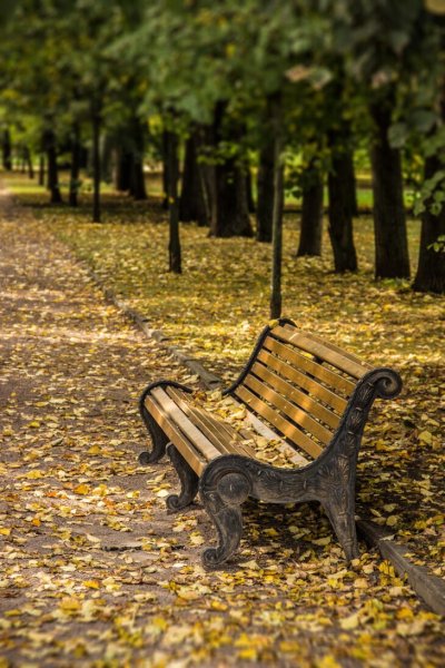 Нальчик парк лавочка