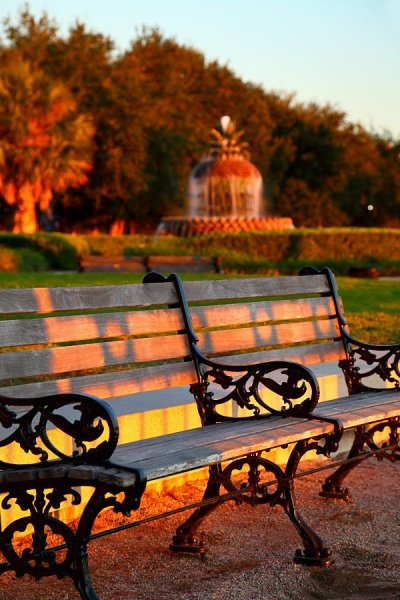 Лавочка в парке