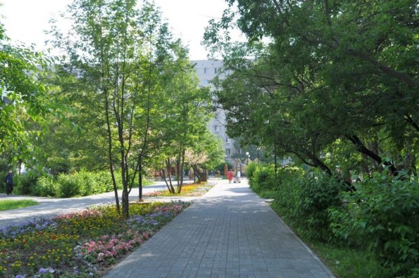 Сквер Тенистый Тюмень