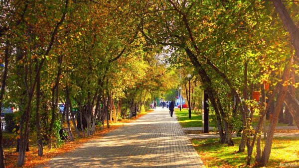 Экопарк в Тюмени осенью