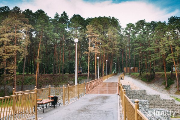 Парк в Тюмени роща Тюмень Гилевская