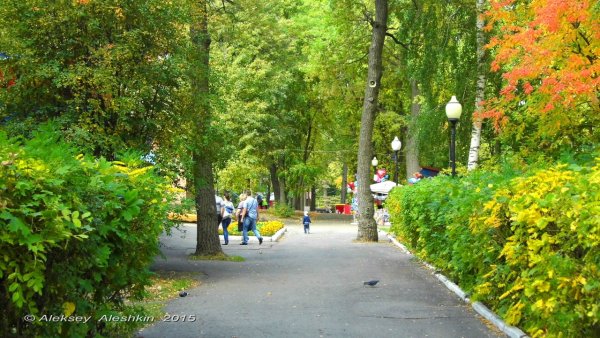 Парк им Белинского Пенза