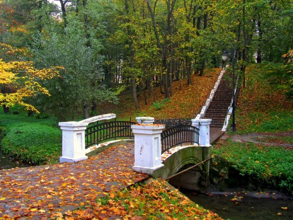 Пейзажный парк Царицыно скамейки