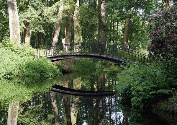 Аршиновский парк мостики