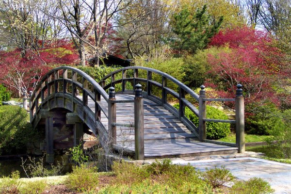 Красивый мостик в парке