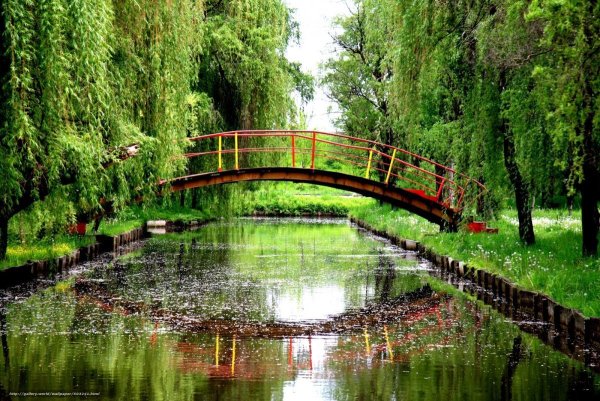 Пруд с мостиком парк Бориса Лосева