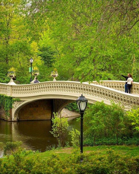 Центральный парк Нью-Йорк мостик