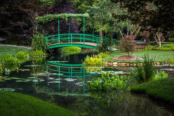 Искусственные пруды в парках