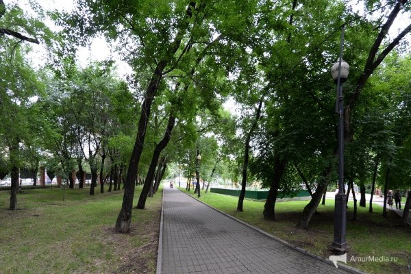 Хабаровский парк Динамо