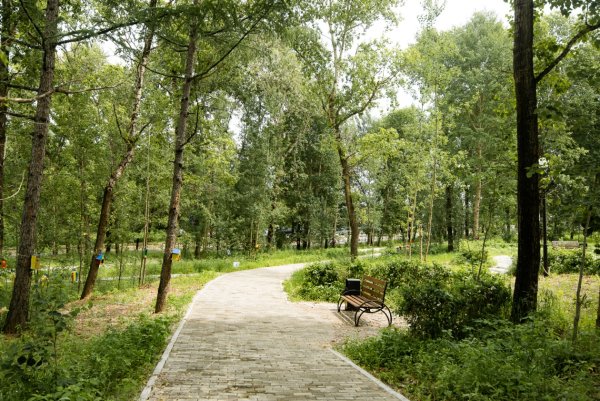 Лесные виды в городе Хабаровск в парках