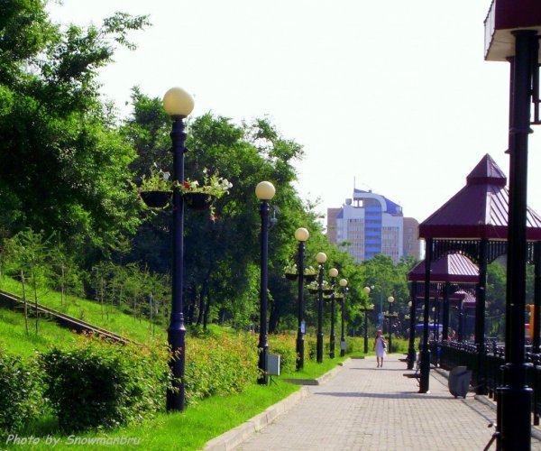 Центральный парк Хабаровска