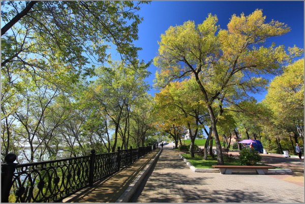 Краевой парк имени н.н Муравьева-Амурского