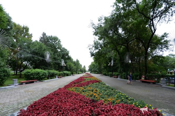 Центральный парк Хабаровска