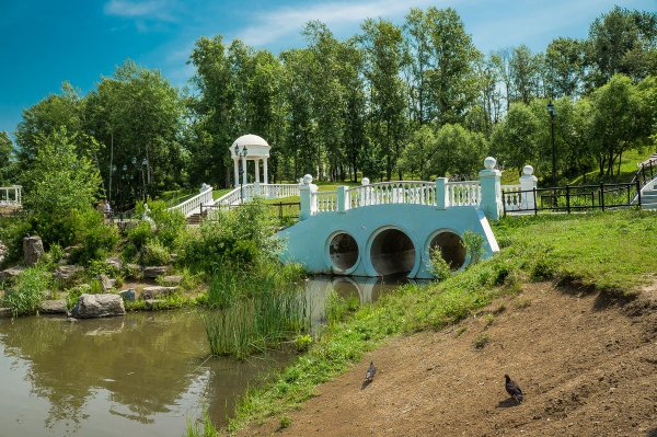 Пруд в парк Северный Хабаровск
