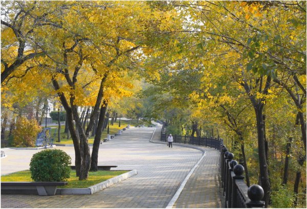 Парк Муравьева Амурского Хабаровск