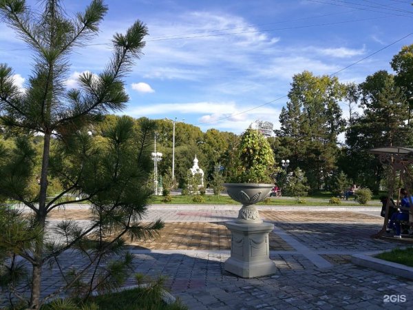 Пруд в парк Северный Хабаровск