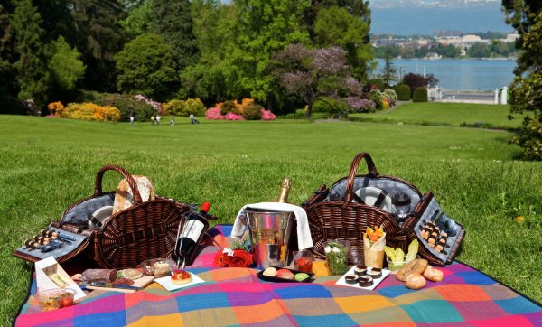Пикник на лужайке