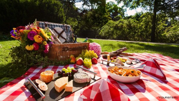 Ужин на природе