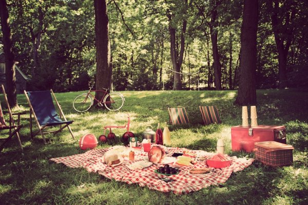 Красивые места для пикника