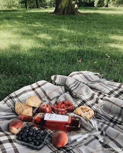 Пикник пинтерес