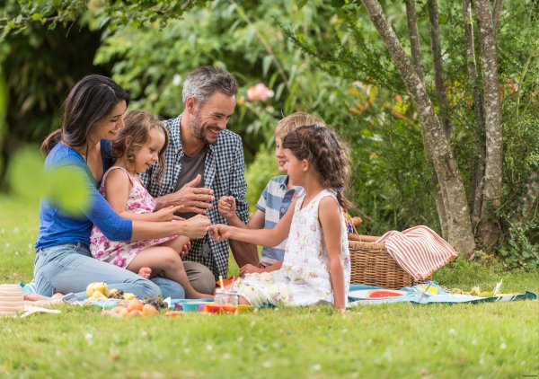 Семья на пикнике