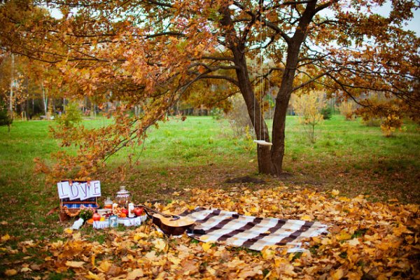 Пикник в осеннем лесу
