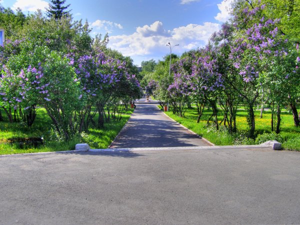 Нижний Тагил сквер