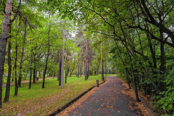 Парк Швейцария Нижний Новгород осенью