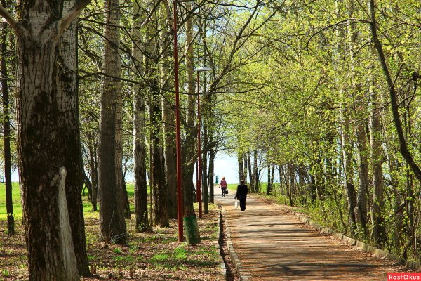 Парк Швейцария Нижний Новгород