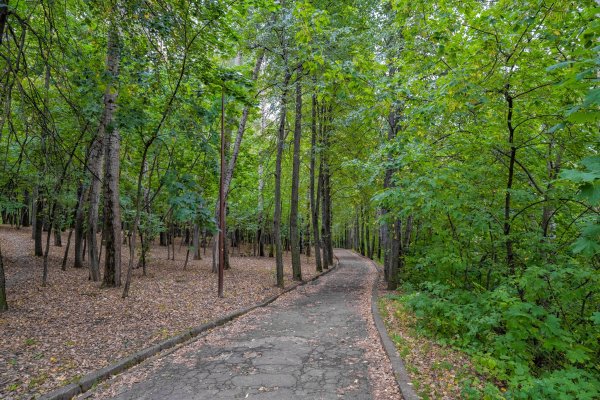 Верхний парк Швейцария