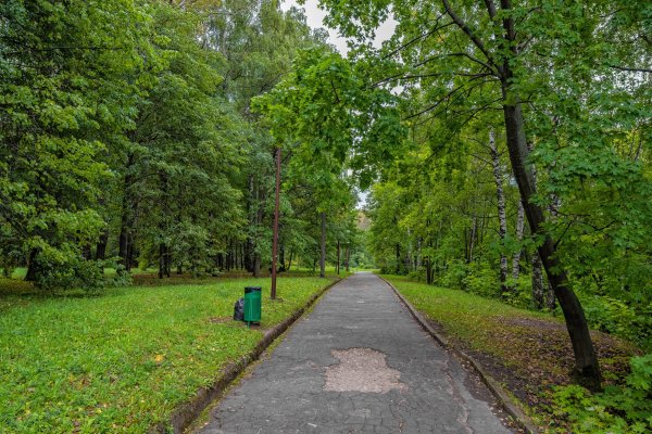 Парк Швейцария дорожки
