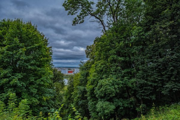 Швейцария Нижний Новгород