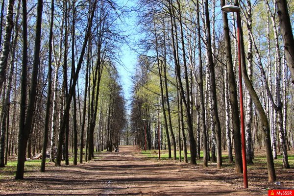 Парк Швейцария Весна