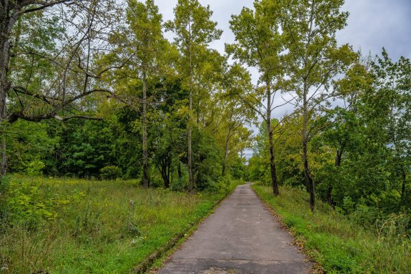 Верхний парк Швейцария