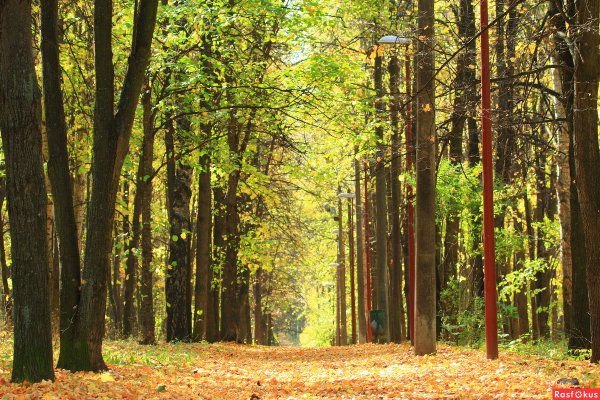 Парк Швейцария Нижний Новгород