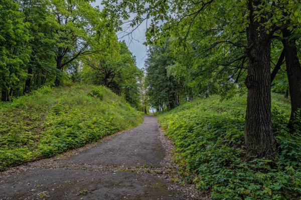 Дорожки в парке Швейцария