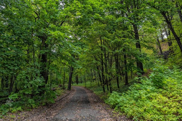 Верхний парк Швейцария