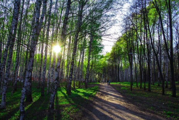 Парк Швейцария Нижний Новгород