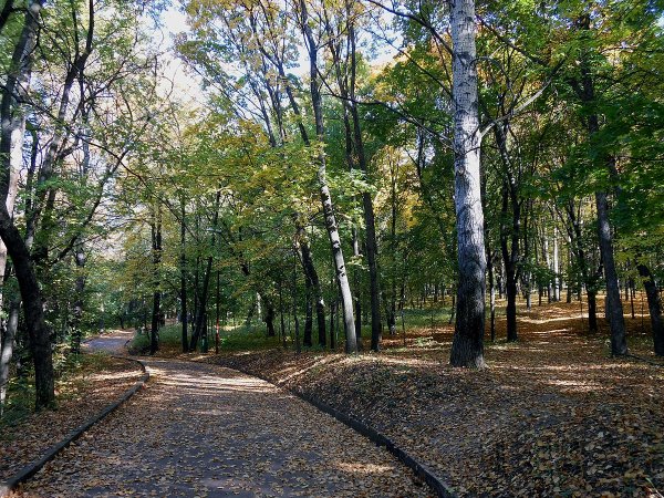 Парк Швейцария Нижний Новгород