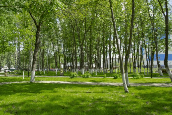 Парк времен Пенза