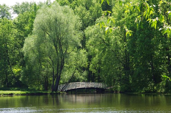 Тарханы природа