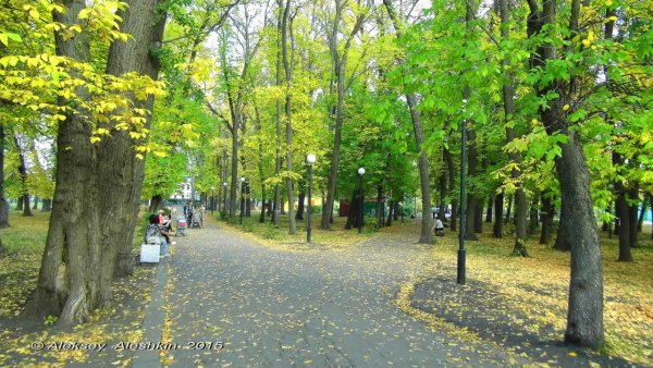 Сквер Олимпийский в Пензе
