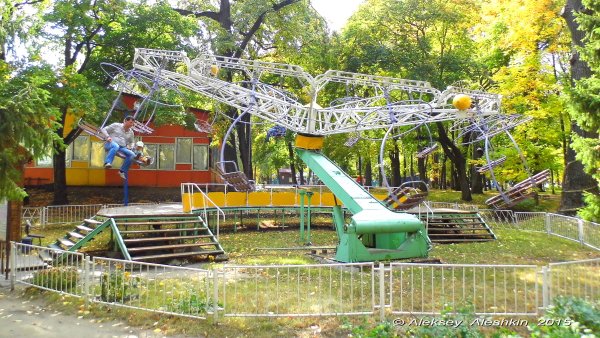 Ромашка Белинского парк Пенза