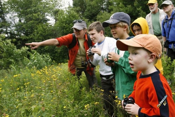 Экскурсия на природу