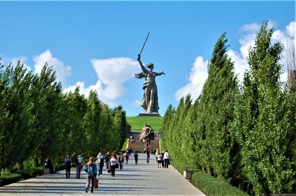 Аллея тополей на Мамаевом Кургане
