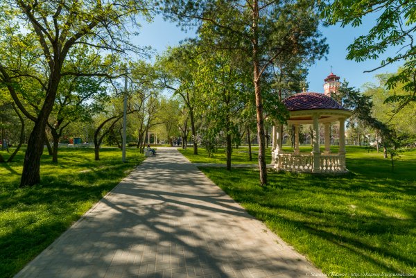 Весна в Волгограде