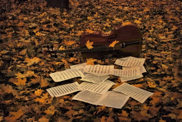 Осенний музыкант
